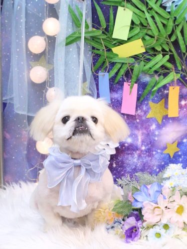 20250703エイトくん